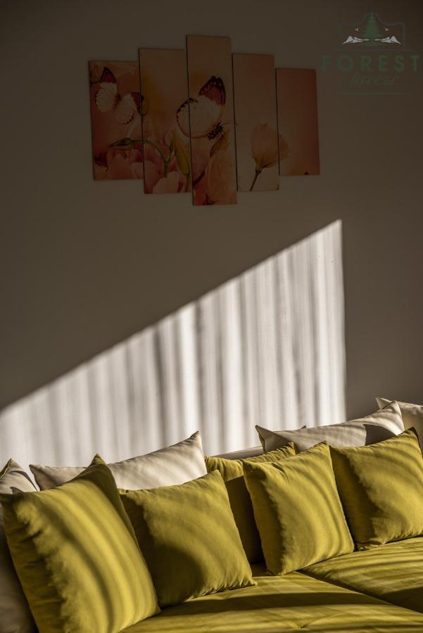 Forest Breeze Apartterrace บราชอฟ ภายนอก รูปภาพ